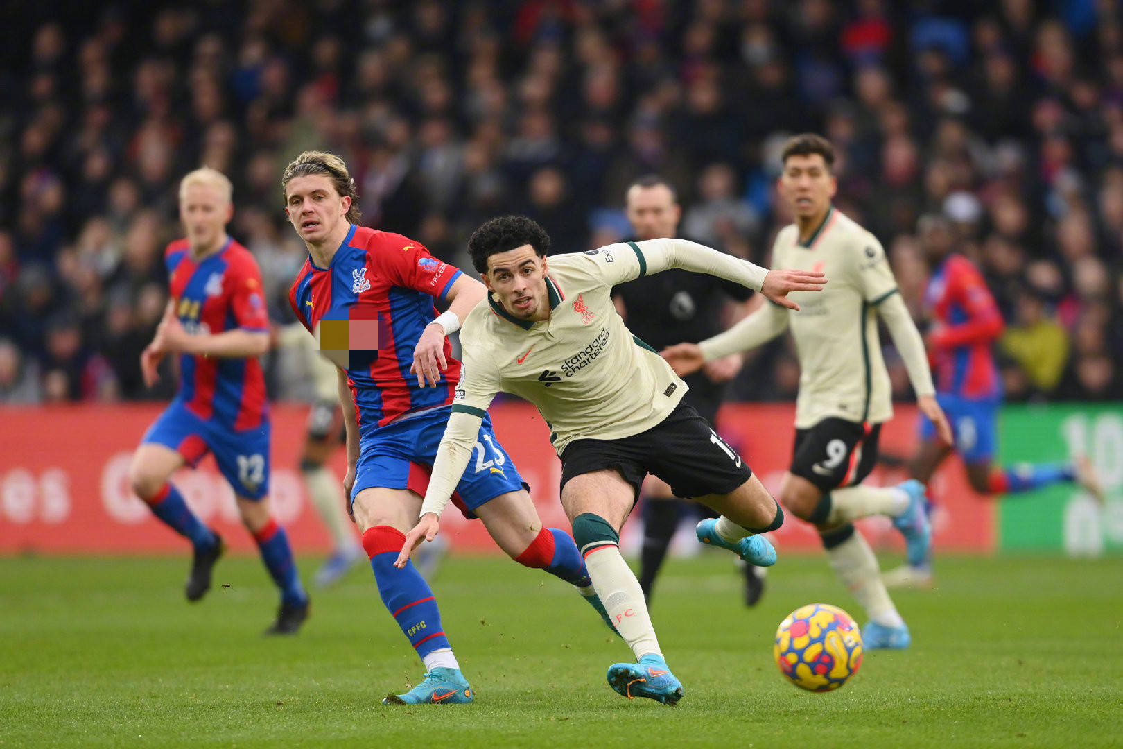 也为整个联 也为整个联