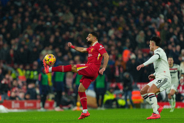 尼克斯太阳 尼克斯太阳